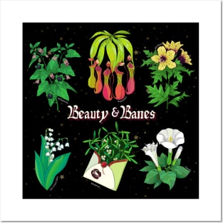 Beauty and Banes Posters and Art